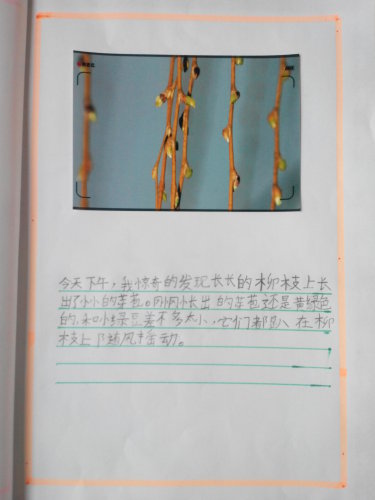 ֮ϡͼ顪ѿ