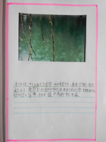 ֮ϡͼ顪ѿ