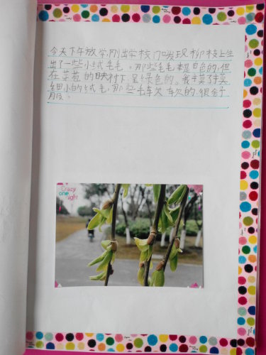 ֮ϡͼ顪ѿ
