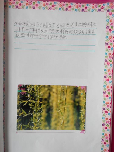 ֮ϡͼ顪ѿ