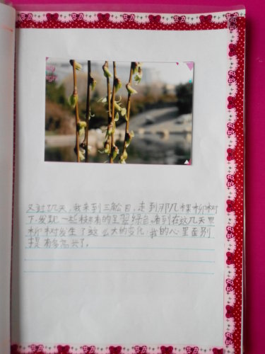 ֮ϡͼ顪ѿ