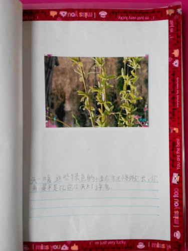 ֮ϡͼ顪ѿ