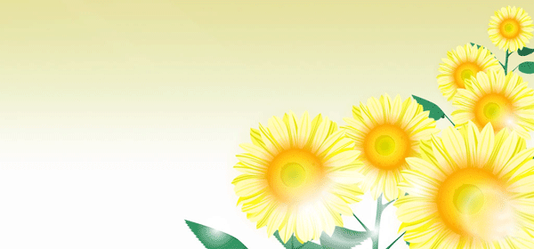 Ưֽ - sally.jack.ok - sally.jack.okĲ