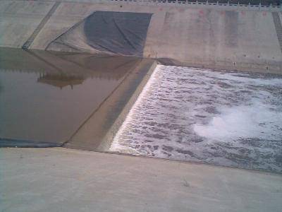 让自己的梦想发芽作文