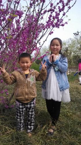 生活中的数学作文