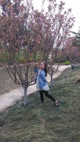 生活中的数学作文