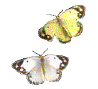 ·Ҹ