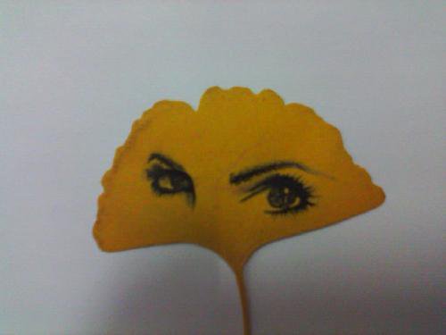 ħ֮Ҷ桱
