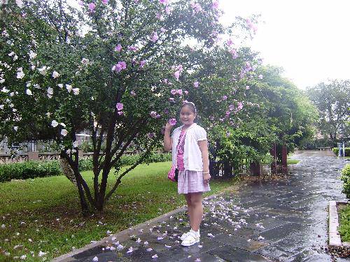 漫步蒙蒙细雨中作文