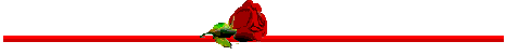 Ѽǧָߣģ -  - ͵Ĳ