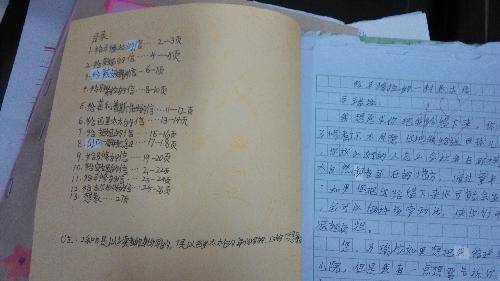 谁是五二班“阅读之星”?作文