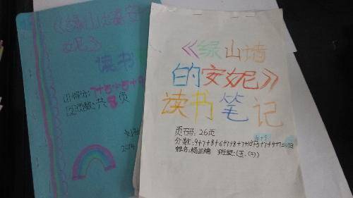 谁是五二班“阅读之星”?作文