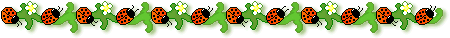 Ѽǧָߣ壩 -  - ͵Ĳ