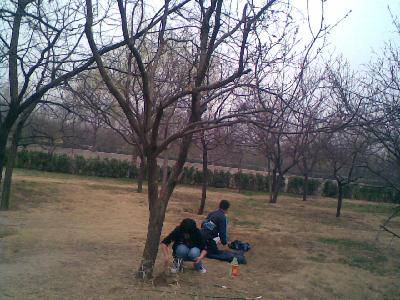 让自己的梦想发芽作文