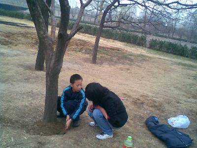 让自己的梦想发芽作文