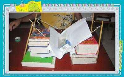 我的小实验(一)桥的承受力作文