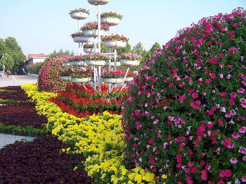 繁花点点庆国庆作文