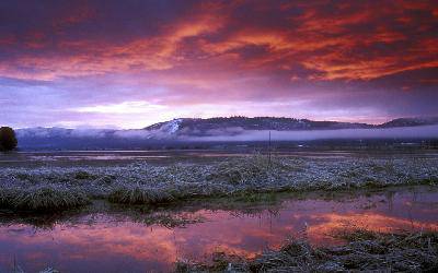 第一次当解说员作文