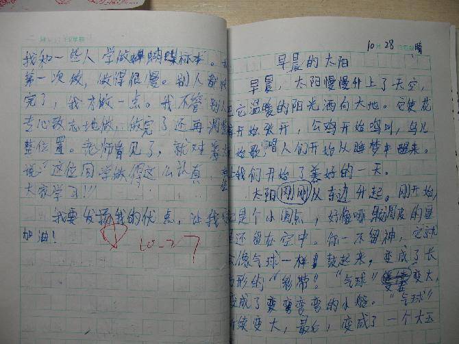 糿̫
