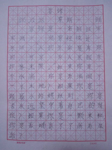 我崇拜的人——雷锋作文