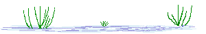 Ѽǧָߣˣ -  - ͵Ĳ