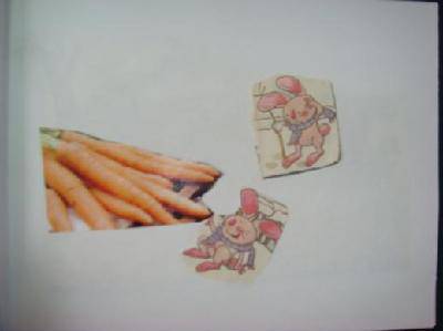 СֶࡪСİƷ