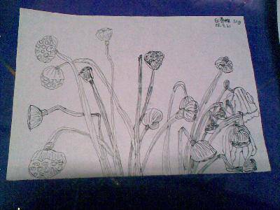 My pictures ҵĻ