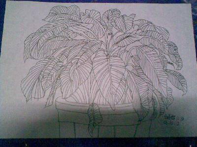 My pictures ҵĻ