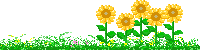 꼶ѧܽƪ