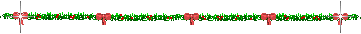 Ѽǧָߣˣ -  - ͵Ĳ  ˣ