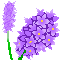 ̤ʵ---һ˫ڷɵγ