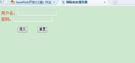 报表的隔行间色显示和国际化处理页面