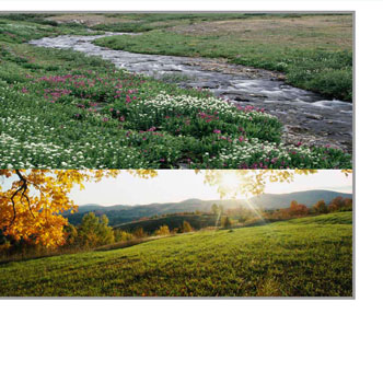 16个显示你图片的JavaScript解决方案