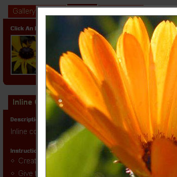 16个显示你图片的JavaScript解决方案