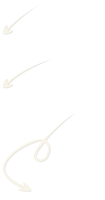 վ򵼹ʵ