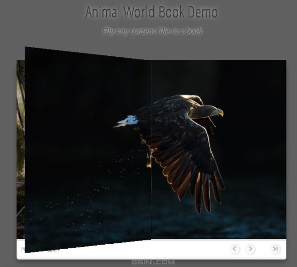 相助你生成翻页效果的jQuery插件 - bookblock
