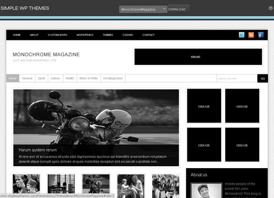 50个漂亮免费的 WordPress 主题(上)