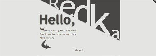 Redka3d 2011 最美丽的网站(上)