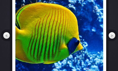 25个必须要学会的jQuery幻灯片插件教程(下)