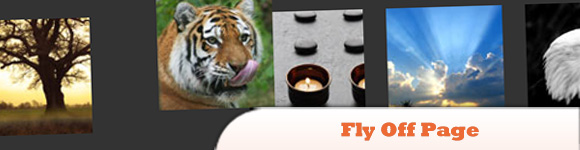 GBin1ʮjQuery