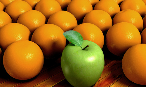 ���������������վ��������רҵ