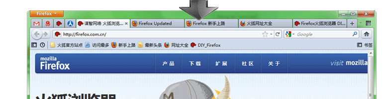 FireFox 5.0 