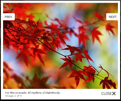 ��ǿ1000��jquery��Ʒ��� ˬ����