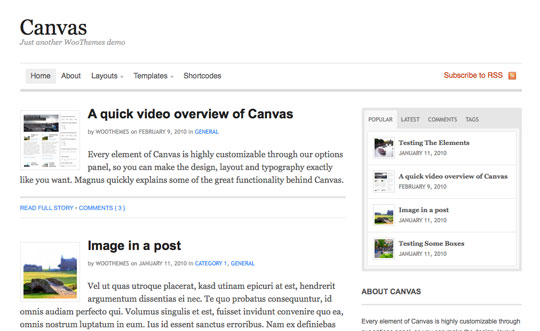 ʮ��רҵ����WordPressƤ��