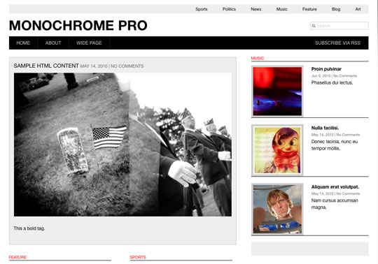 ʮ��רҵ����WordPressƤ��