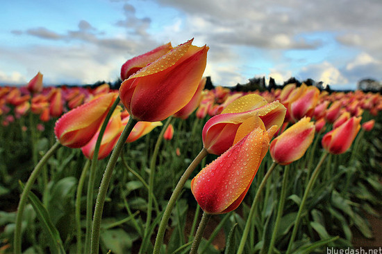 Web�����γ�4������Maven