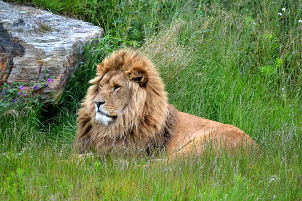 �����ĵý�������Ӱ��Ʒ��