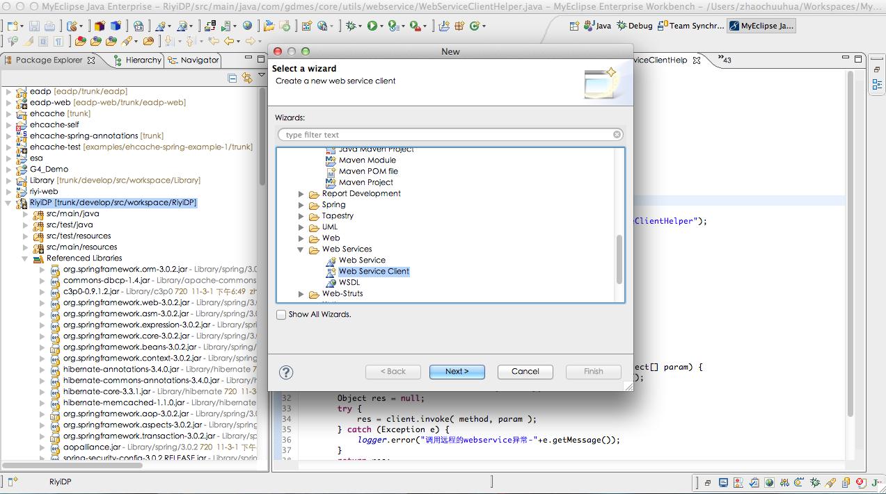 webservice 应用总结