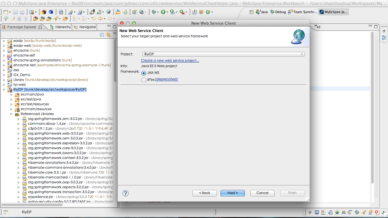 webservice 应用总结