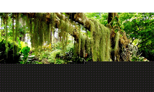 25�����Ҫѧ���jQuery�õ�Ƭ����̳̣��У�